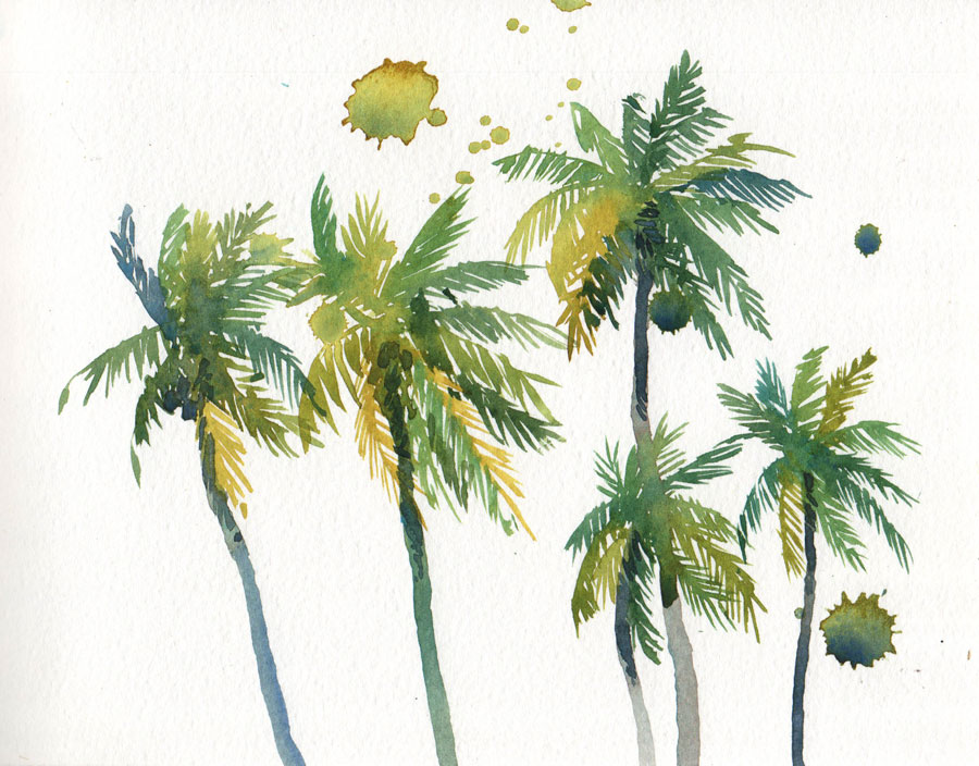 dominican_palms
